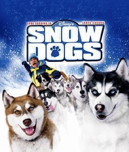 冰狗任务在线观看,在线观看,揭秘极地冒险之旅 第1张 冰狗任务在线观看,在线观看,揭秘极地冒险之旅 第1张